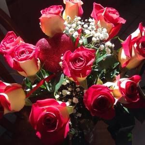 Meet your Posher, Victor sa